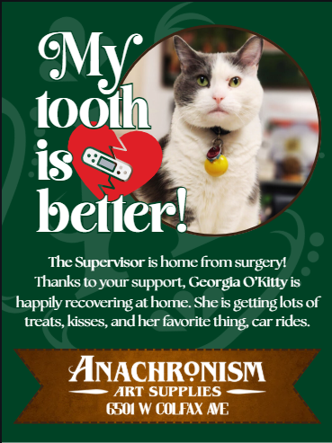 Georgia O'Kitty needs tooth surgery